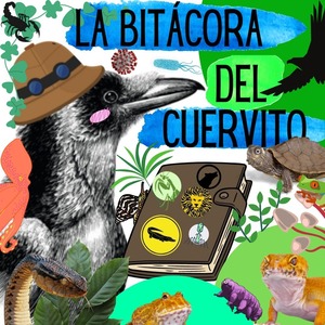 la_bitacora_del_cuervito