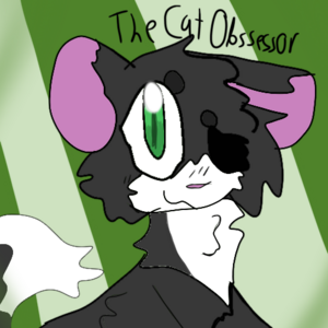 thecatobsessor
