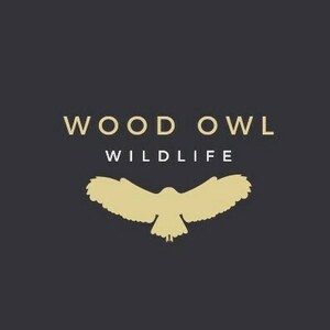woodowlwildlife