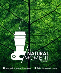 the_natural_moment
