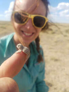 cd_plains_wanderer