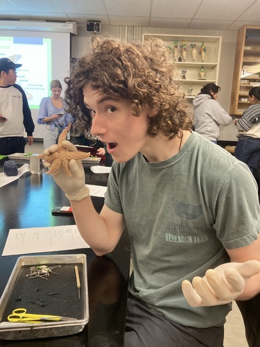 explorer_emile's Profile · iNaturalist