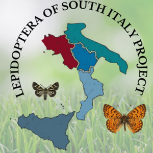 nbfc_lepidoptera_of_south_italy