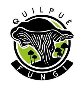 quilpue_fungi