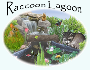 raccoon_lagoon