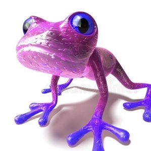 purplefrog02