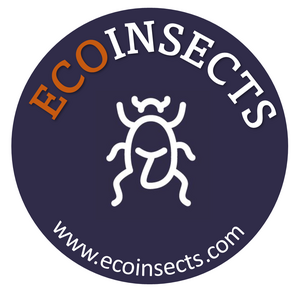 ecoinsects