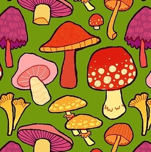 ashai_the_mushroom