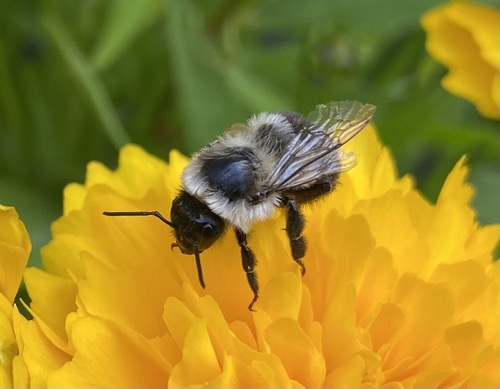 eml23's Profile · iNaturalist