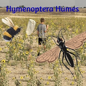 hymenopterahumes