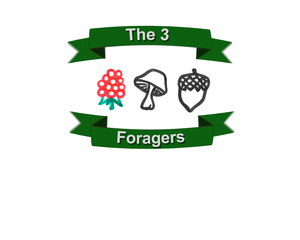 the3foragers