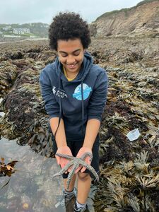 rubenrockpool