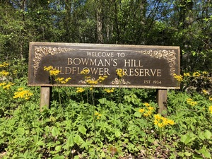 bowmans_hill_wildflower_preserve