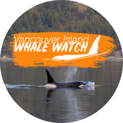 vancouver_island_whale_watch