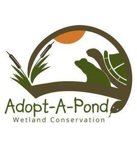 adopt-a-pond