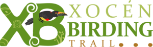 xocen_birding_trail