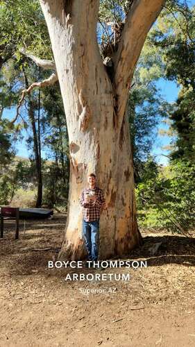 dan_tree's Profile · iNaturalist