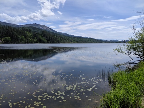 jakob_rowny's Profile · iNaturalist