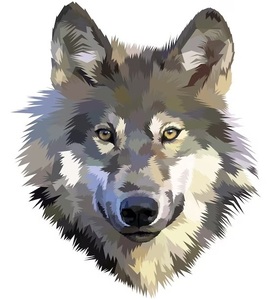 arcticwolf10