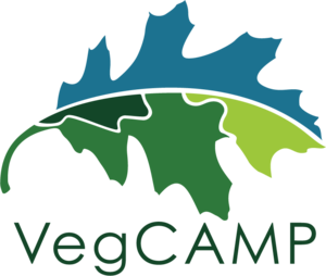 vegcamp