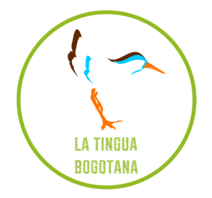 latinguabogotana