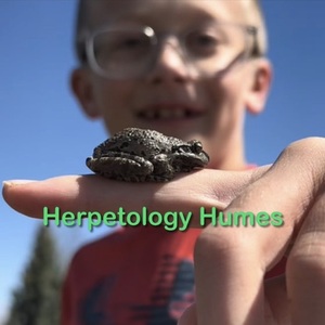 herpetologyhumes