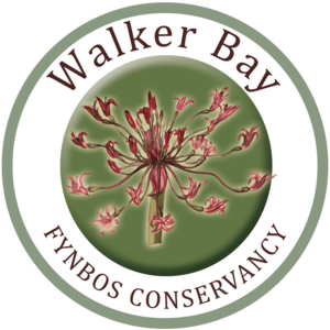 walkerbayfynbosconservancy