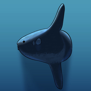 molamola09