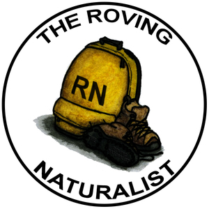 the_roving_naturalist