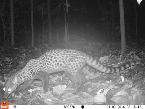 Servaline Genet