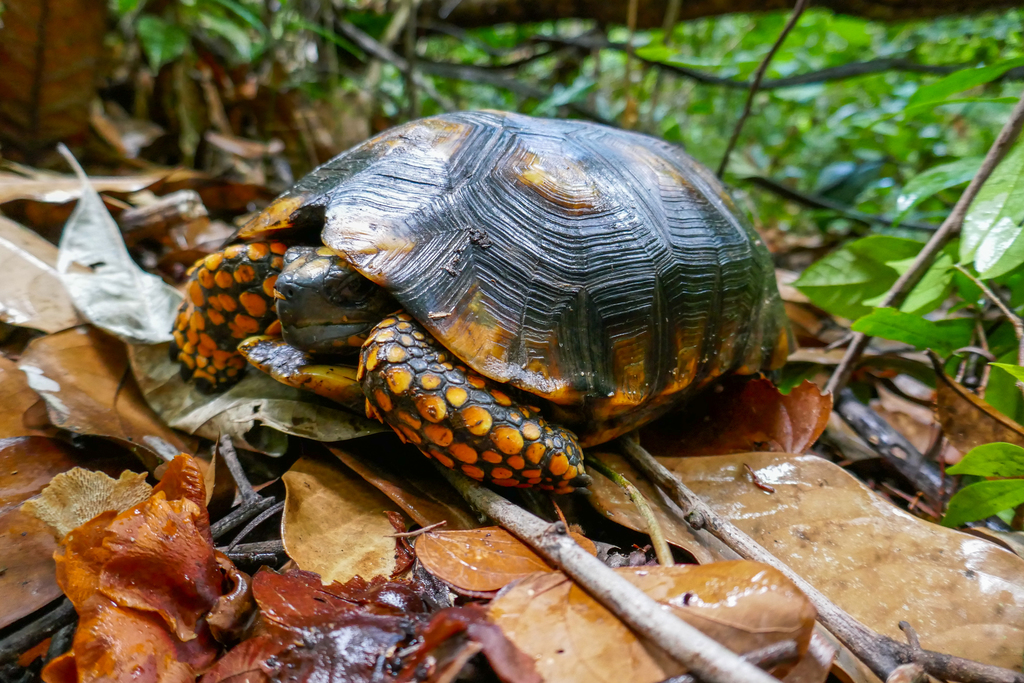 Photo by Kestrel DeMarco