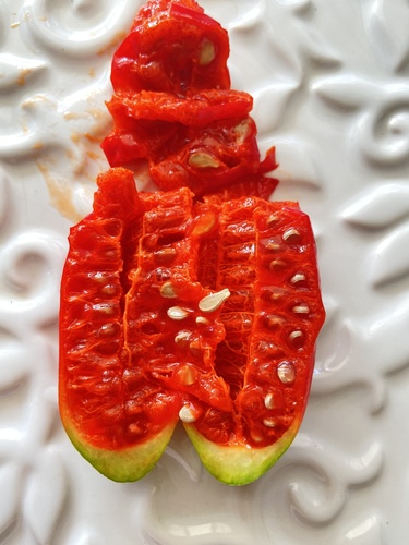 Ivy gourd