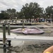 Rice's Whale - Photo (c) blue543, all rights reserved, uploaded by blue543
