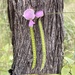 Tephrosia longipes - Photo (c) tomeitsparadise, todos os direitos reservados, uploaded by tomeitsparadise