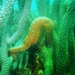 Observation photo