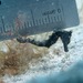 Observation photo