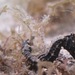 Observation photo