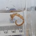 Observation photo