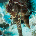 Observation photo
