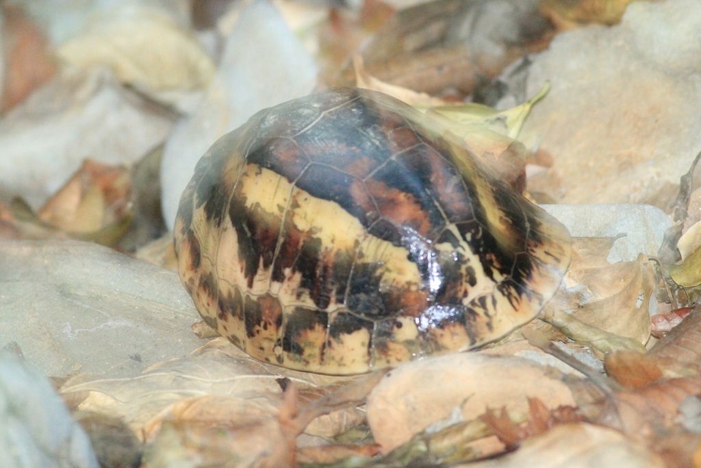 Photo by Keo Bionalist