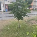 Square