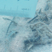 Observation photo