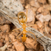 Mexican Honeypot Ant - Photo (c) Alice Abela, all rights reserved
