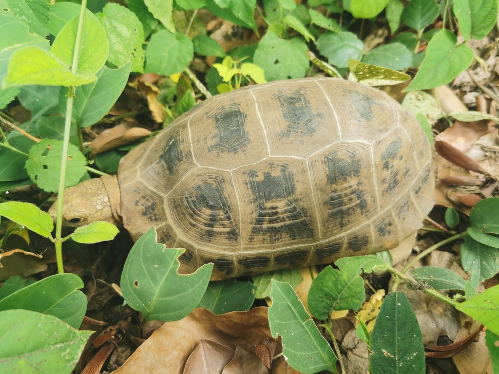 Photo by Kanoktip Somsiri
