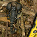 Dictator Scorpion - Photo (c) Philip Stouffer, all rights reserved, uploaded by Phil Stouffer
