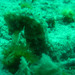 Observation photo