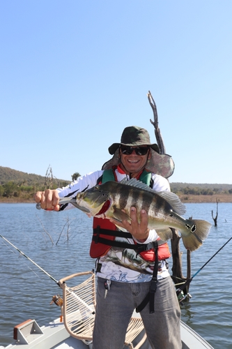 Blue Peacock Bass