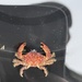photo of Lumpy Rubble Crab (Paraxanthias taylori)