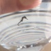 Observation photo