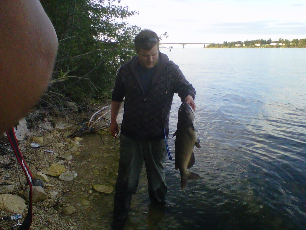 Channel Catfish from Grand Rapids, MB, Canada on June 19, 2012 by